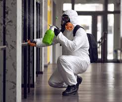 Best Mold Prevention Services in Vaville, CA